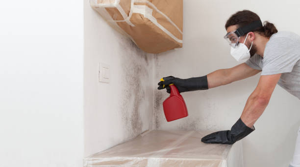 Professional Crawl Space Mold Remediation technician working in Piney Point, MD